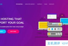 DesiVPS提供,KVM VPS每年支付20美元,美国独立服务器每月支付55美元。_国外VPS主机测评