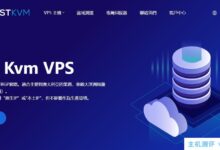 #春季优惠#HostKvm香港VPS:$ 48/年/2核/4G内存/40G SSD/1TB月流量@50Mbps带宽，支持Windows系统。_国外VPS主机测评