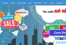 HostingViet无限流量VPS/ server年付5折,越南原生IP年付161元。_国外VPS主机测评
