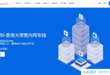 OwOCloud深港IEPL专线natVPS 5折优惠促销,1核384M内存10G NVMe硬盘50M带宽100G月流量用优惠码支付84.5元/月。_国外VPS主机测评