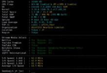 ReCloud怎么样?ReCloud日本软银native IP VPS评测:国内延迟、丢包率、性能和带宽、路由返回、流媒体和抖音检测。_国外VPS主机测评