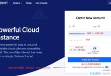 2022最新DMIT VPS选购图文教程-通过图文教程为大家讲解DMIT VPS的选购方法。_国外VPS主机测评