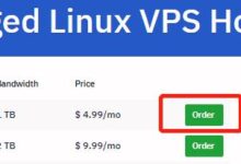 廉价易用的高性能VPS商家Hostwinds是海外VPS避坑的首选。介绍了Hostwinds VPS的购买流程。_国外VPS主机测评