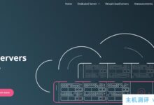 10gbiz-香港/洛杉矶CN2 GIA vps云服务器低至2.75美元/月,硅谷站群258IP服务器首月半价,香港E5服务仅1.5折。_国外VPS主机测评