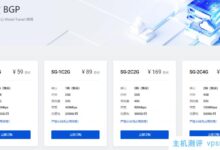 DigitalVirt新加坡BGP预售开启!前50名用户享受5折优惠,支付1.5倍年流量:384元/年/1核/1G/20G系统盘/1.5TB流量@300M带宽。_国外VPS主机测评