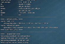 采用V.PS 2内核、1GB内存和1Gbps端口的香港CMI KVM VPS评估。_国外VPS主机测评