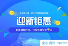 [恒]新年快乐:香港& # 038；美国云服务器爆款秒杀_1核2G内存2M带宽CN2线首年301元起_国外VPS主机测评