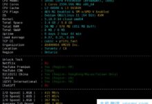 VMISS怎么样?VMISS日本东京IIJ线VPS评测分享,解锁tiktok(日本东京ip)_国外VPS主机测评