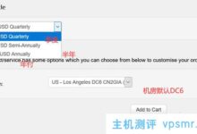 BandwagonHost搬瓦工CN2 GIA三网合一优化线路VPS主机购买教程高达10Gbps带宽_国外VPS主机测评