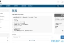 纽约机房VPS,原生IP,抖音解锁,158元/年,300M带宽不限流量,免费20Gbps DDoS防御。_国外VPS主机测评