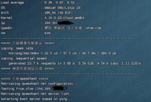 对德国GIA/9929线路的KVM VPS的评估,在V.PS 1核心中具有1 GB内存和1GB端口。_国外VPS主机测评