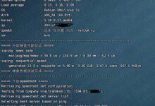 Advin服务器怎么样?Advin服务器双核10GB内存1Gbps端口日本KVM VPS评估分享_国外VPS主机测评
