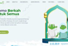 Jetdino Indonesia VPS,100Mbps带宽无限流量,1核1G内存25GB SSD硬盘100M带宽$5.6/月_国外VPS主机测评