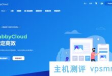 TabbyCloud香港BGP VPS 9折促销:25.92元/月/1核/1GB内存/20GB SSD空间/2TB流量/100Mbps-300Mbps端口/KVM架构_国外VPS主机测评