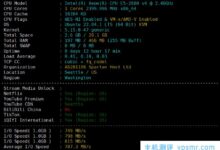 爱云双12活动包VPS评测，美国西雅图原生IP VPS，解锁网飞/抖音流媒体，三网融合4837回归/NCP出发。_国外VPS主机测评