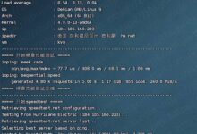 10g.biz双核2GB内存1Gbps端口KVM VPS在美国硅谷的评估和分享_国外VPS主机测评