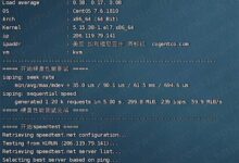 如何解决WordPress网站文章标题分隔符-被转义为–?(wordpress如何改变标题大小)_国外VPS主机测评