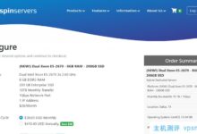 美国圣何塞/达拉斯SpinServers五折优惠，19美元/月/2个内核/8GB内存/200GB SSD硬盘/10TB流量/1Gbps端口/KVM_国外VPS主机测评