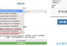 【Ayun iaclouds】新区法国-巴黎Pro ISP机房VPS上线!解锁Netflix并帮助Tiktok本土!_国外VPS主机测评